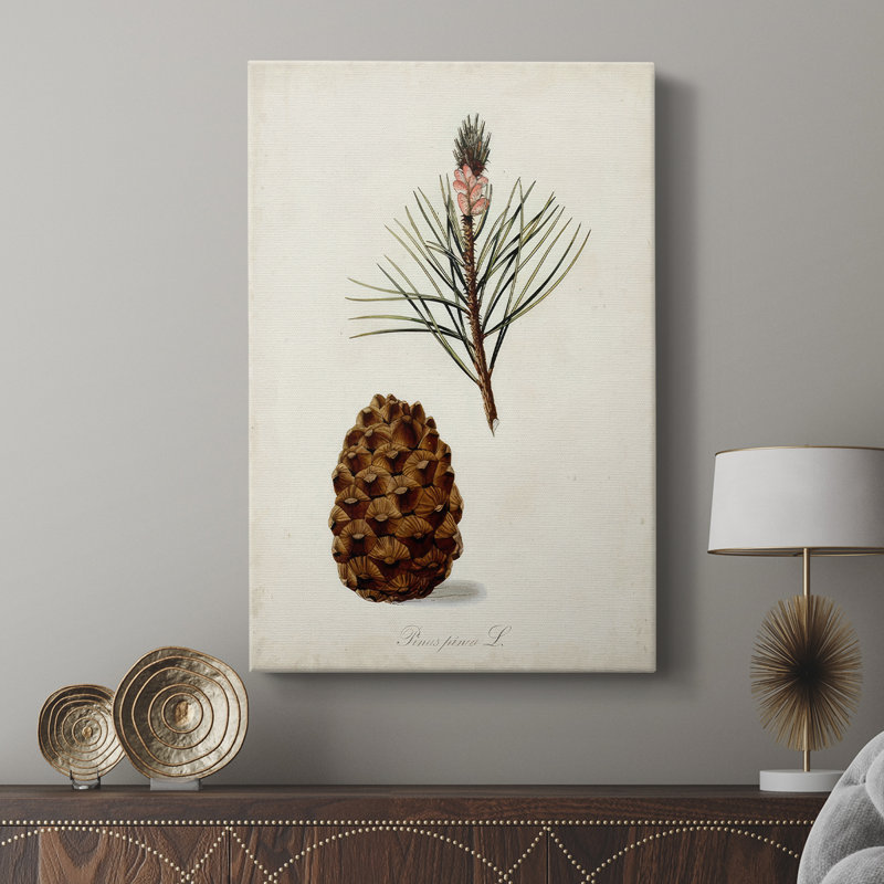 Étude d'arbre antique V - galerie Cavas sur mesure, H 27 po x l 18 po