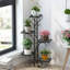 Budron Plant Stand