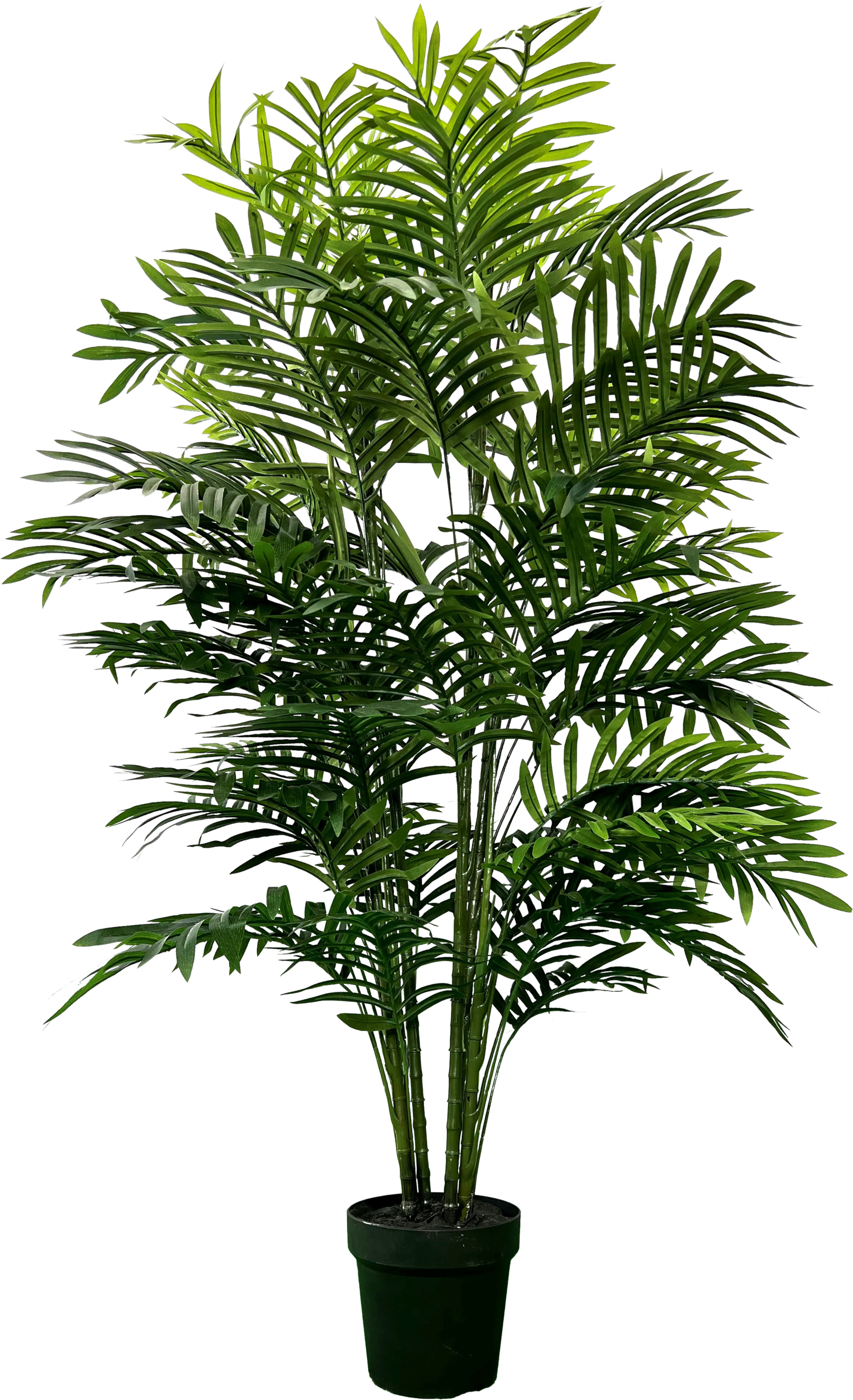 Primrue Primrue Hand-Made Primrue 5'' Artificial Phoenix Palm Plant - Wayfair ...