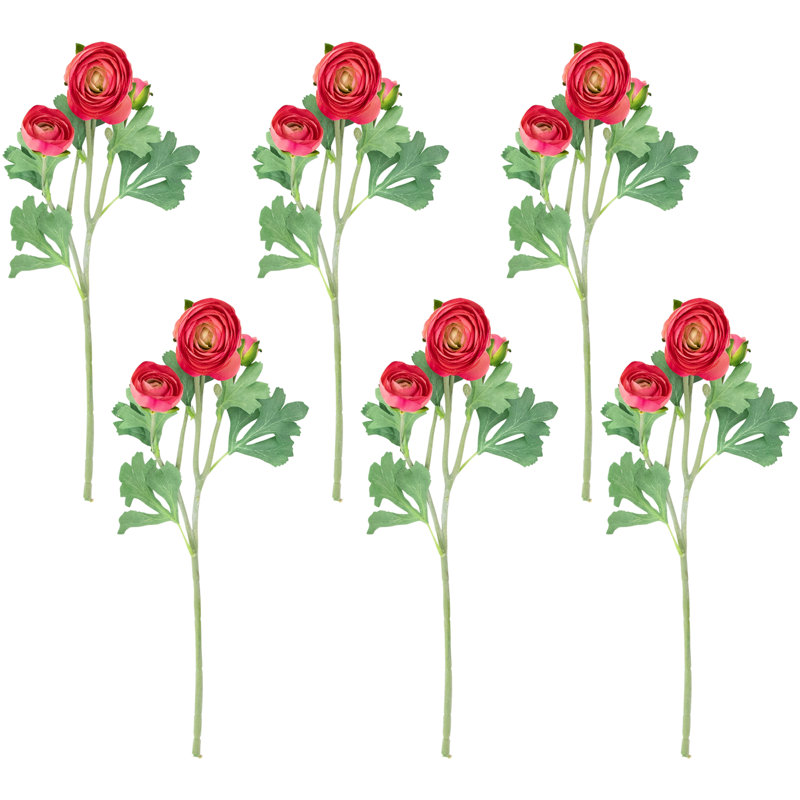 Ranunculus Arrangement