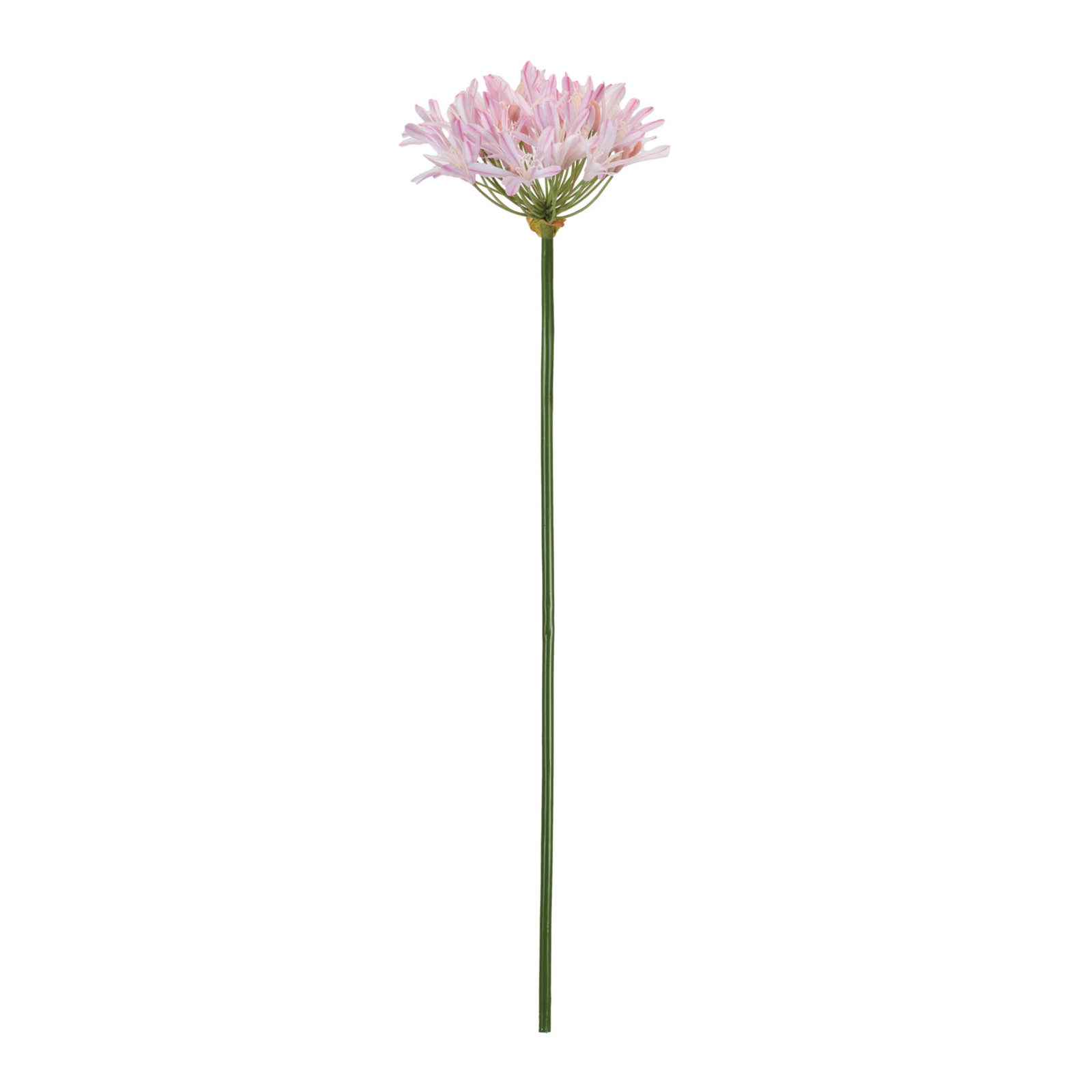 Agapanthus Flower Stem (Set of 2), Pink, White, Yellow