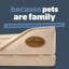 Silentnight Orthopaedic Luxury Pet Bed-383887913-309262713