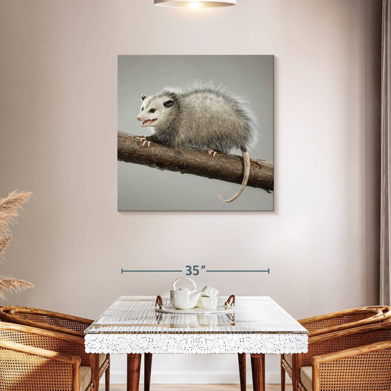 Brampt Snarky Opossum, 36'' H x 36'' W