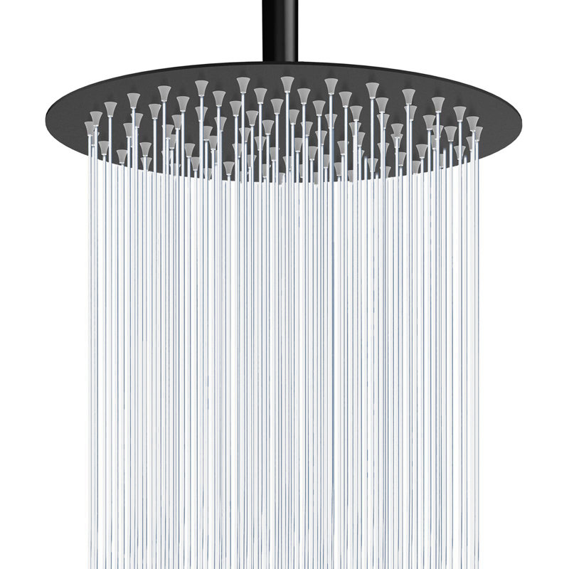 1 Rain Shower Head 2.5 GPM GPM, Polished Chrome