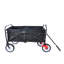 Chariot de plage pliable-114400065
