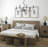 Olivia Iron 6-Light Chandelier