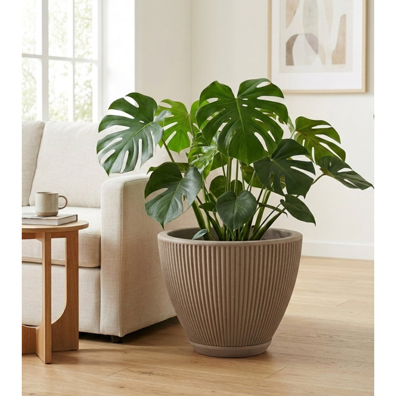 Ciya ECOBO Eco-Friendly Round Pot Planter, Garoa Indoor/Outdoor Four Season Use, Light Brown, 16.9" H x 20.1" W x 20.1" D