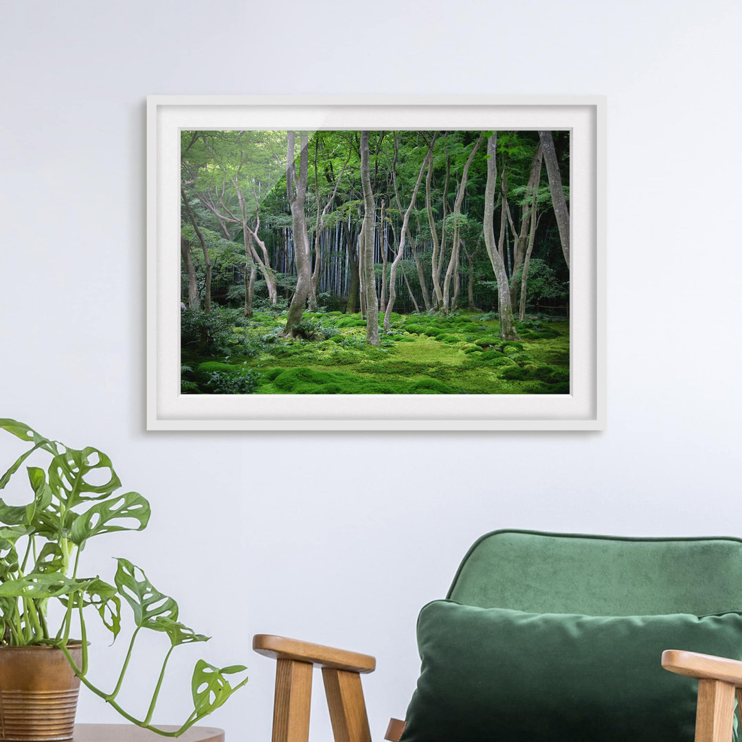 Gerahmtes Poster Japanese Forest