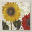 «Sundresses I» par Jadaya, impression sur toile tendue-20507550