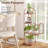 Tyjah Plant Stand