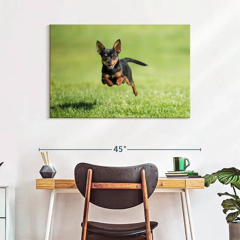 Brampt Sprinting Chihuahua, 26" H x 39" W