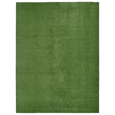 Ashkhen Indoor / Outdoor Rug
