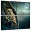 Chouette des marais la nuit