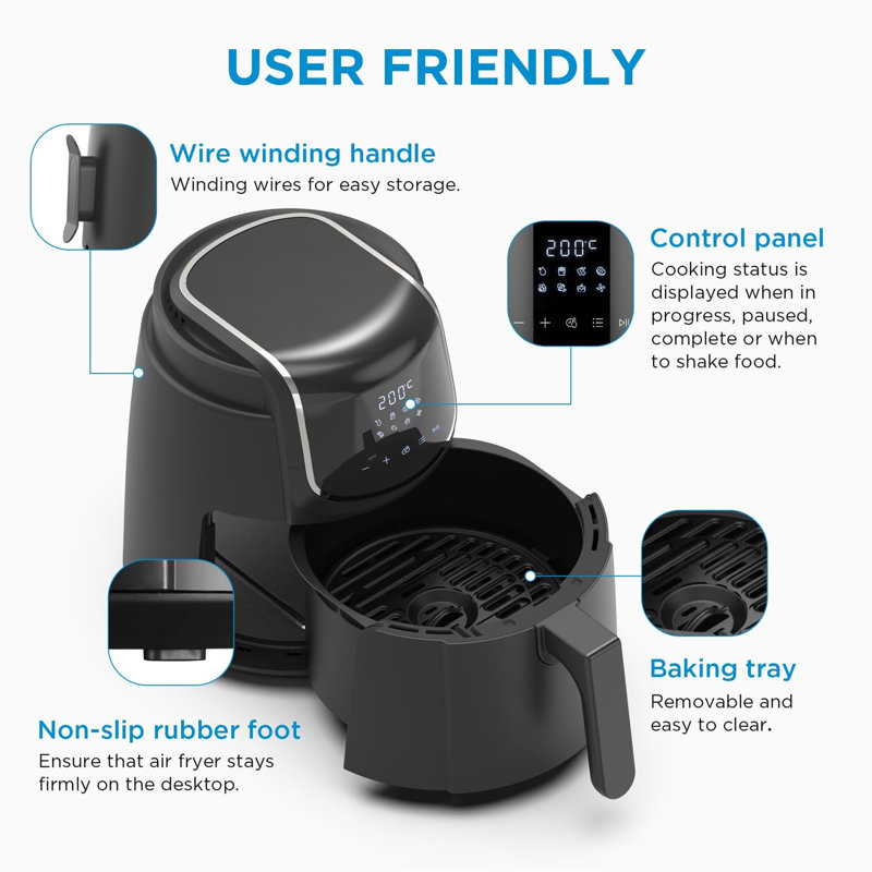 Ivy Bronx 4L Air Fryer