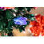 Lighted Artificial Christmas Tree-1226874224