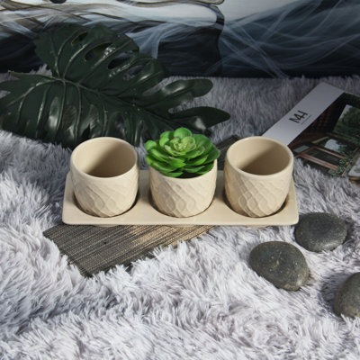 Ensemble de pots à fleurs 3 pièces avec plateau