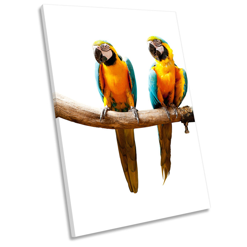 Z1539 Parrot Birds - Wrapped Canvas Print, 45.7cm H x 30.5cm W x 2cm D