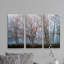 Contrastes brumeux-ensemble de 3 reproductions de photos sur toiles tendues-1795341967