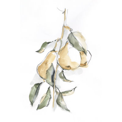 Aquarelle, fruits, contour I