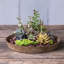 Pot de fleurs en résine de qualité supérieure Pollyanna-406127379-406127380