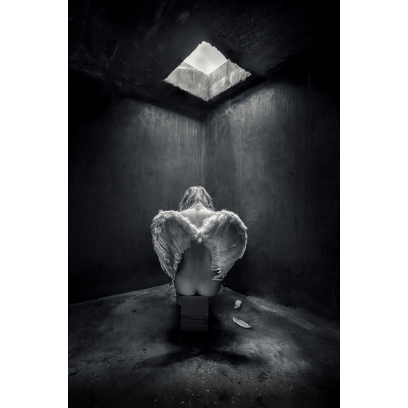 Wrapped Canvas Print, 76.2 cm H x 50.8 cm W