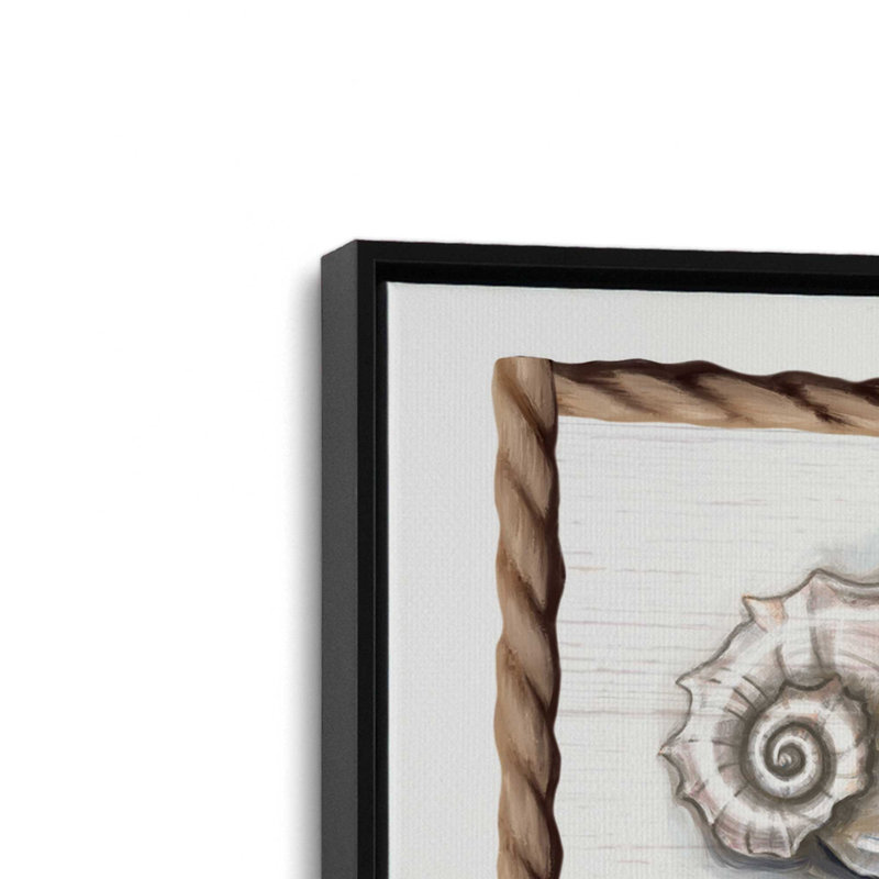 «Beach Shells I» par Elizabeth Tyndall, reproduction d'art, Toile avec cadre, Noir, H 37,5 po x l 37,5 po