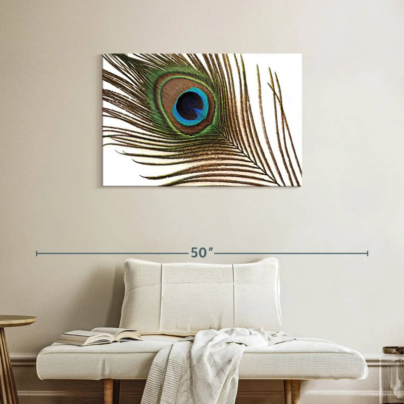 Brampt Peacock Feather, 24" H x 36" W