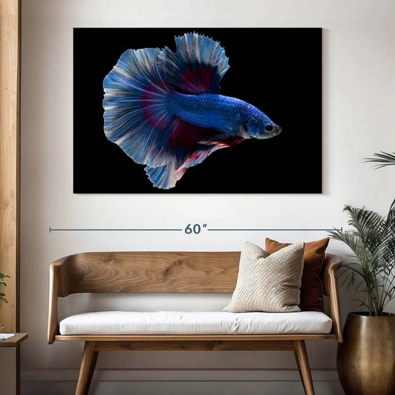 Elegant Blue Betta, 34" H x 51" W