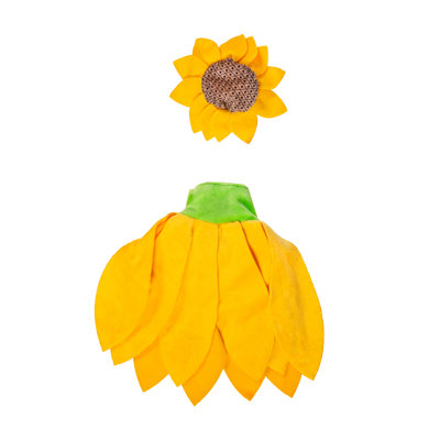 Tente de véranda oie, éclat de tournesol