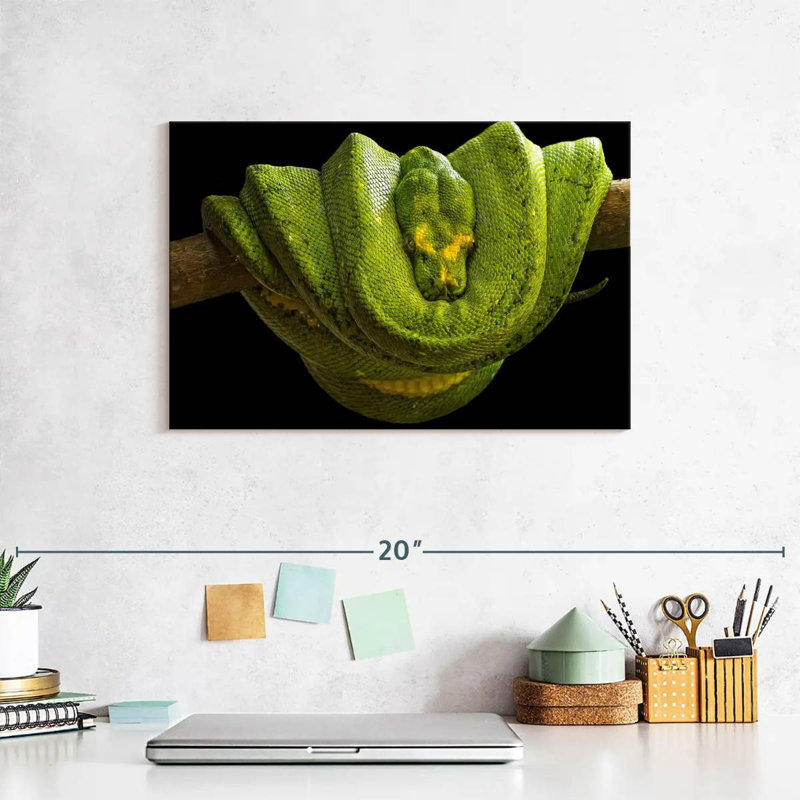 Green Boa Constrictor, 30" H x 45" W