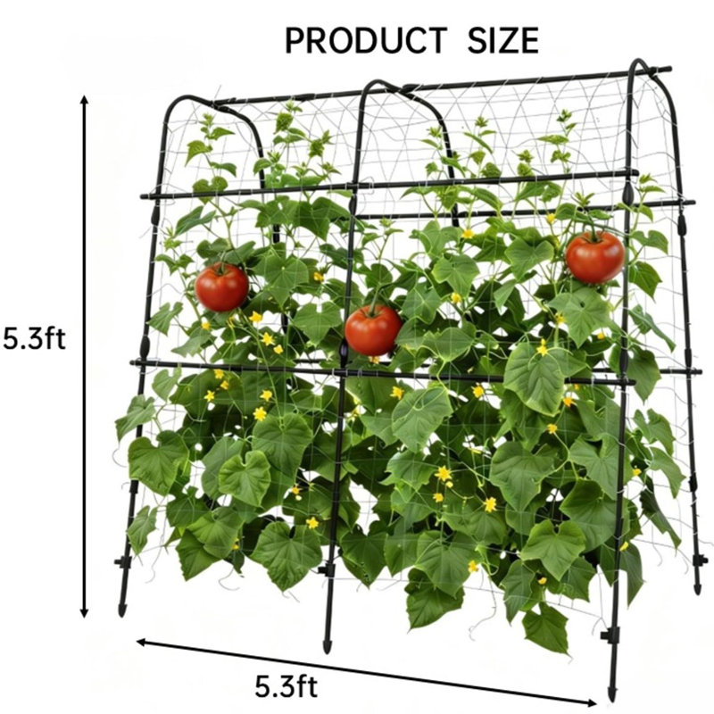 Treillis d'arche de jardin en métal robuste et résistant à la rouille pour lits surélevés - Structure d'escalade verticale - Supporte les concombres, les melons, les raisins, les roses et les légumes - assemblage facile - 5,3 pi