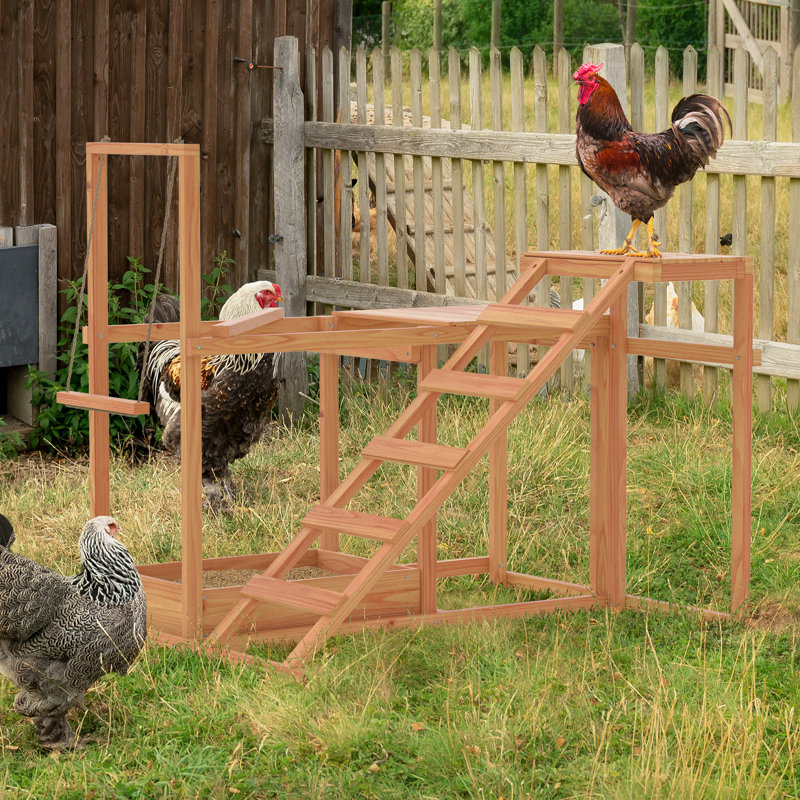 Portique de jeu avec poules et perchoirs