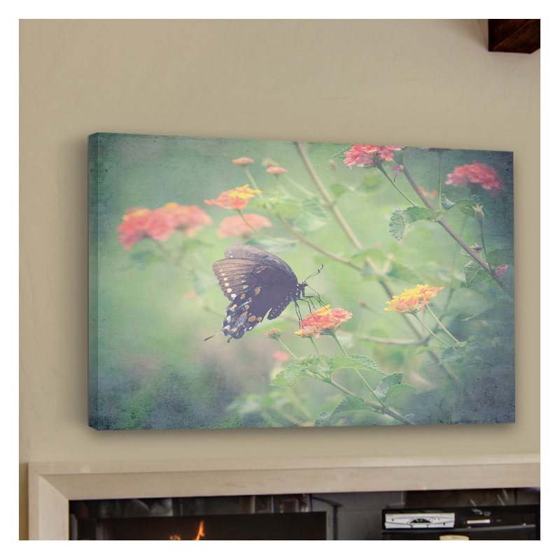 Captivating by Robert Dickinson - Wrapped Canvas Print, 51cm H x 76cm W x 4cm D