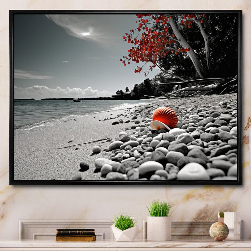 «Grey Red Beach Seashell Symphony», reproduction, Cadre flottant noir, H 34 po x l 44 po x P 1,5 po