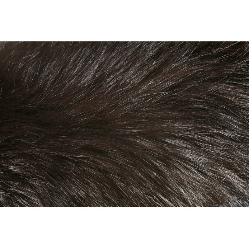 Fur Detail by Hypertizer, 20" H x 30" W