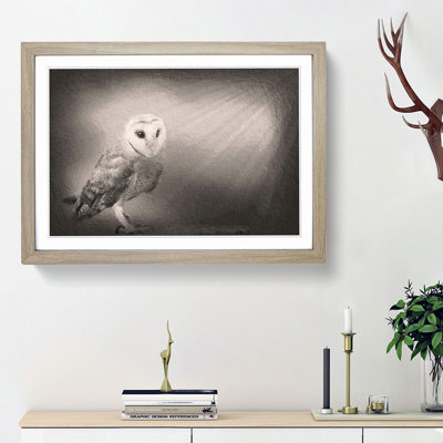 Light Upon the Barn Owl - Picture Frame Painting Print