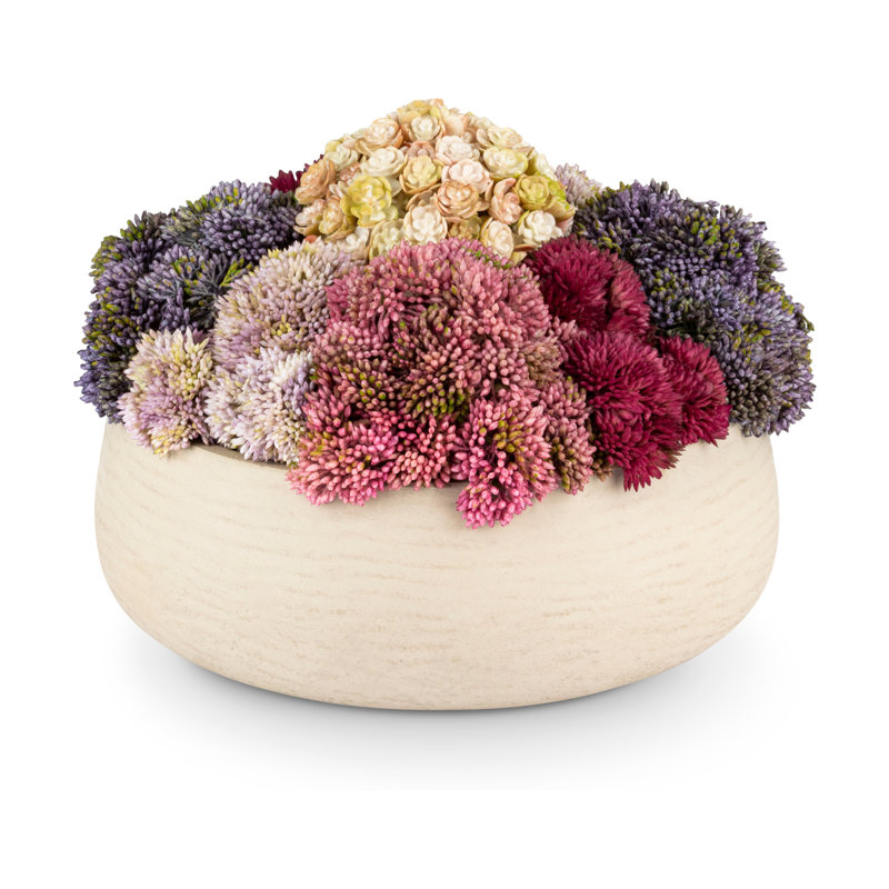Deveraux Sedum Arrangement