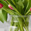 Clear Bloom Vase-715522063