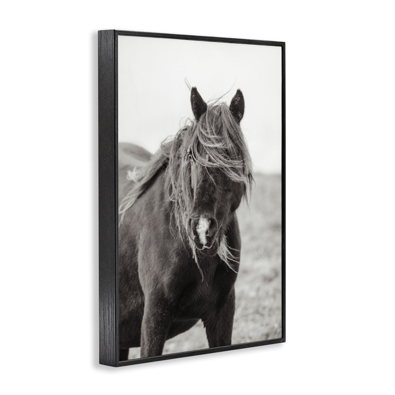 «Wild Pony With Windy Mane», estampe numérique de Deborah Revell, H 18 po x l 12 po, Giclée encadrée noir minuit