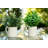 7'' Faux Plant in Ceramic Planter