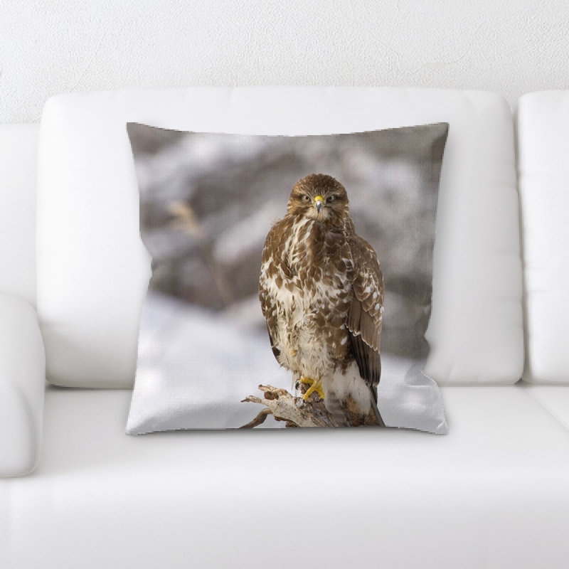 Housse et insert de coussin carré Buzzard