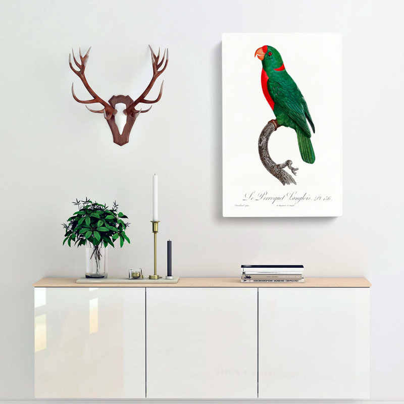 Parrot by F. Levaillant - Wrapped Canvas Print, 50cm H x 35cm W x 3cm D