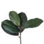 Couronne à feuilles de magnolia 28 po-132199146