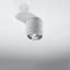 Nifleim Flush Mount