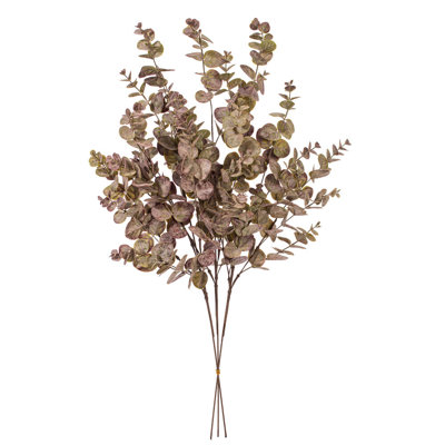 34 plantes