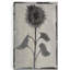 «Silk Botanicals V», reproduction sur toile tendue-289107654