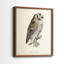 French Owls III - reproduction encadrée de qualité supérieure - prête à être accrochée - aucun clou requis - aucun clou requis-996633170-996633195