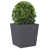 Anthracite is out of stock selected