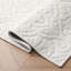 Feya Machine Woven Synthetic Aera Rug in White-1587238541