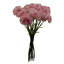 Plastic, Silk Artificial Arrangement-88685013